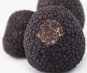 Comprar Trufa Negra Fresca